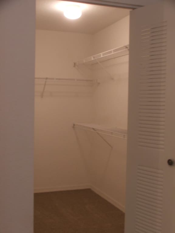 Apartments in Southeast Tampa, FL Bristol Bay Amenities